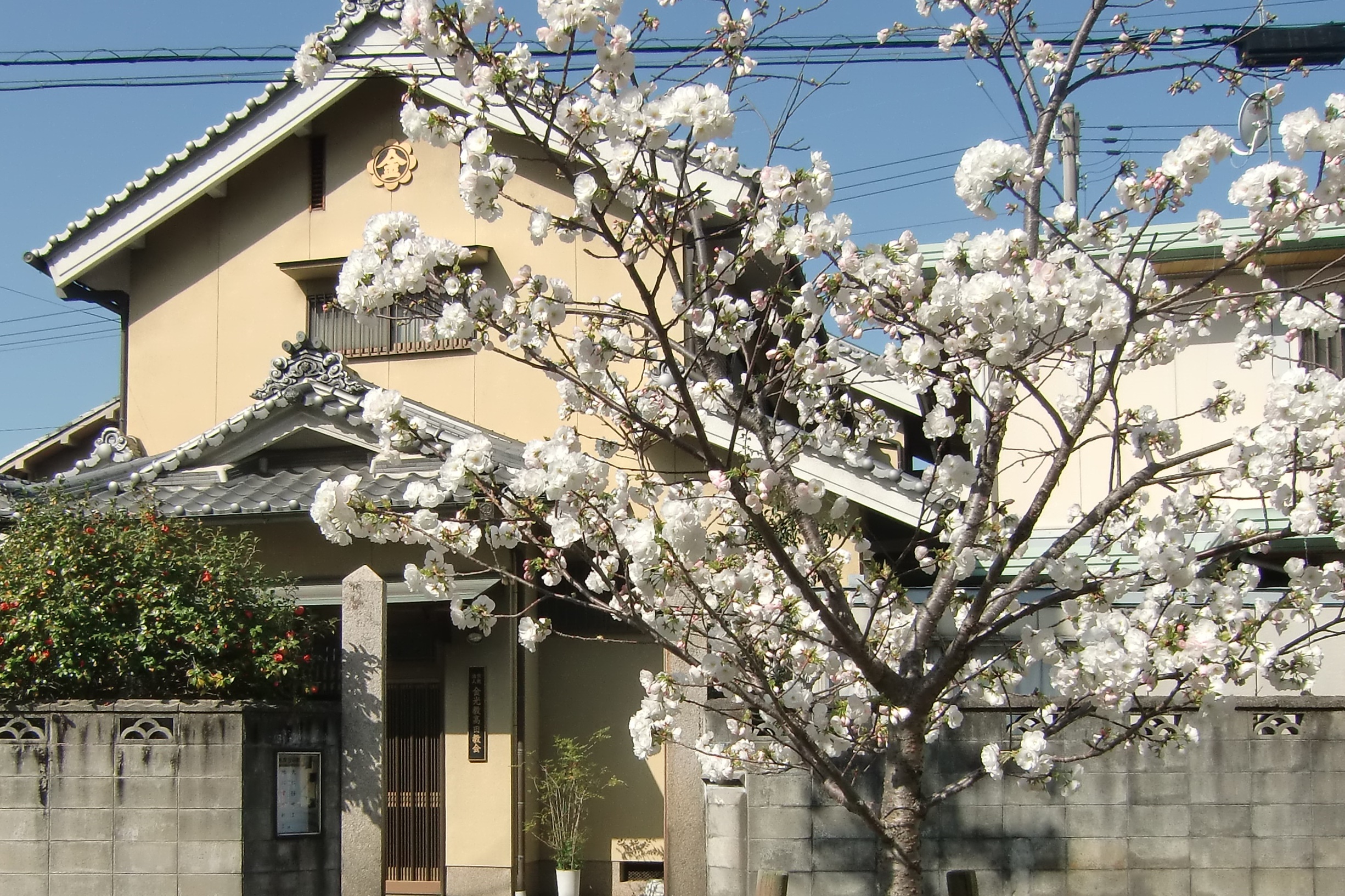 金光教高田教会、「血脈」を生んだ霊現象